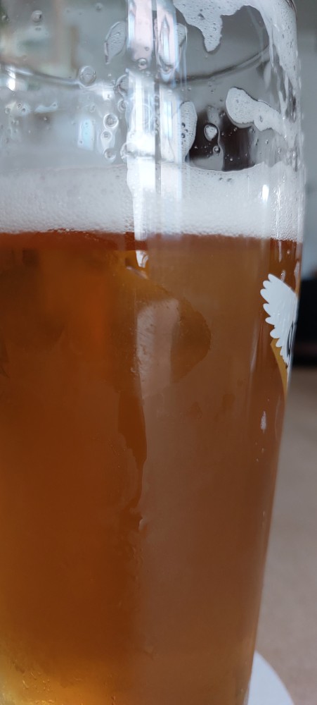 Gänstaller HELLES LAGER